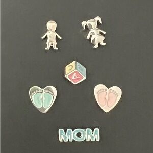 Origami Owl Motherhood Charms